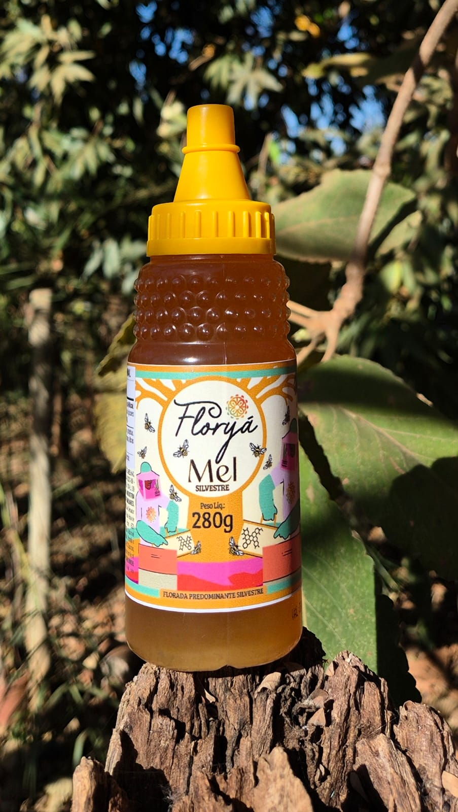 Mel Florada Silvestre – Predominante Cipó-Uva 280g