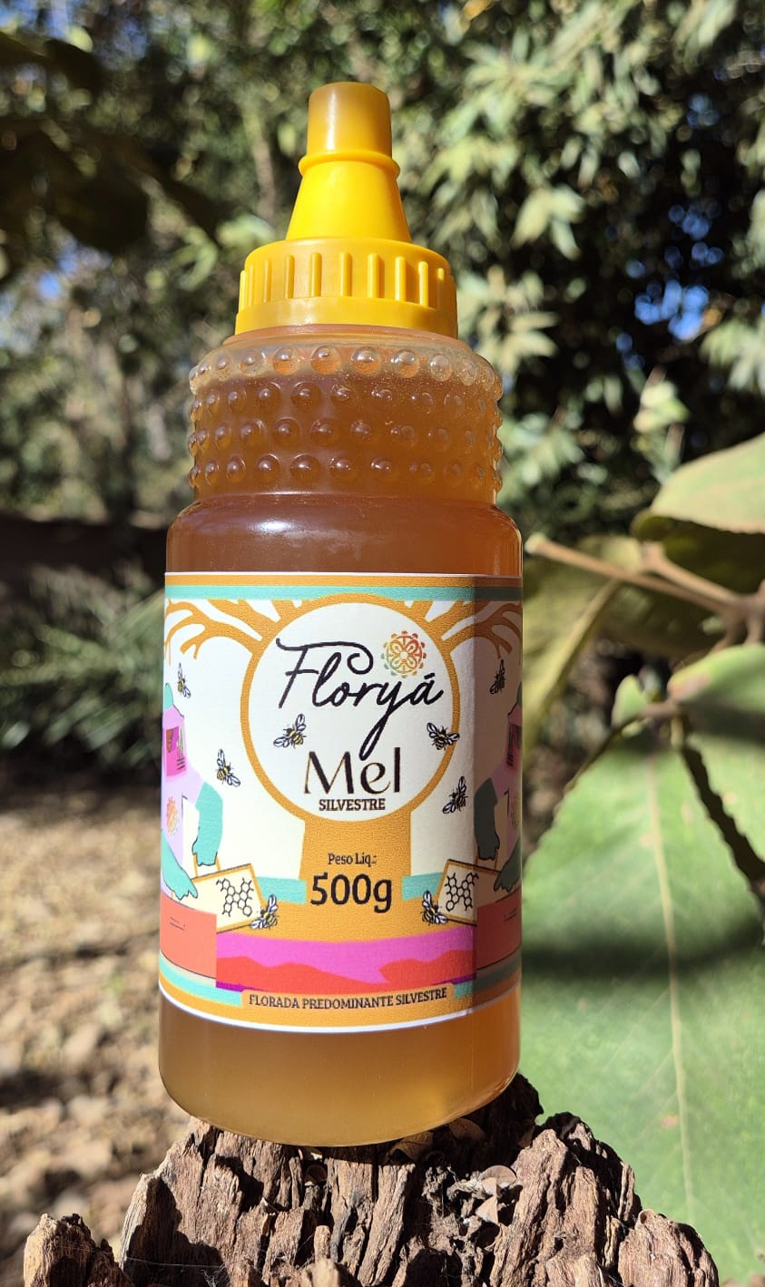 Mel Florada Silvestre – Predominante Cipó-Uva 500g